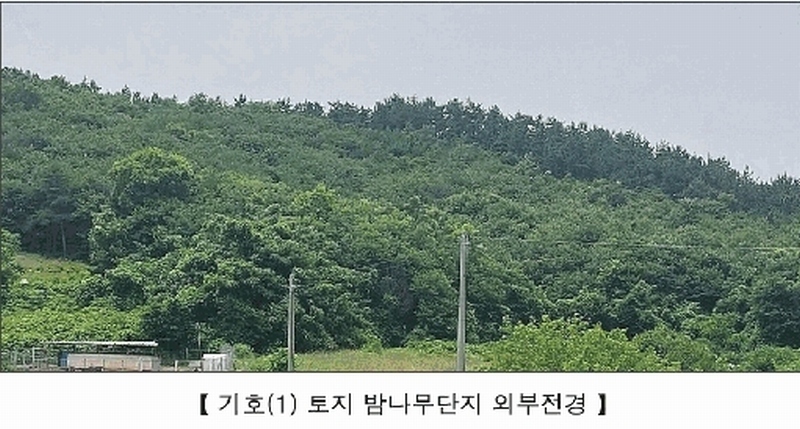 2025타경15806 충청남도 서천군 비인면 칠지리 산49 임야 경매 이미지