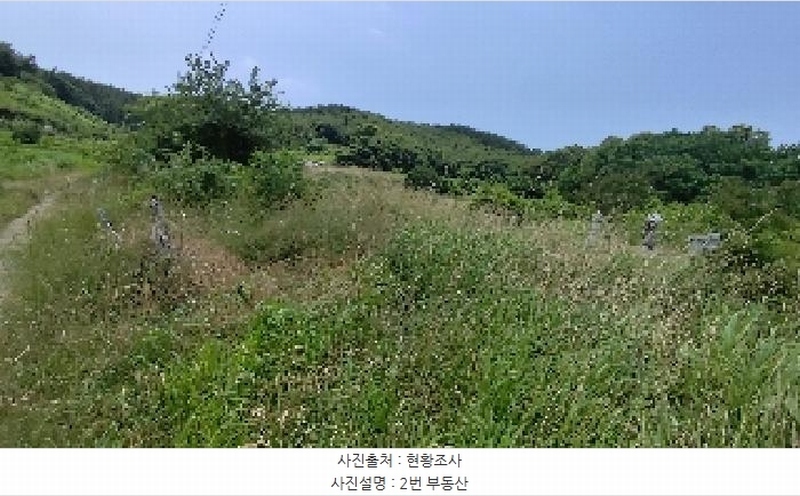 2025타경15806 충청남도 서천군 비인면 칠지리 산49 임야 경매 이미지