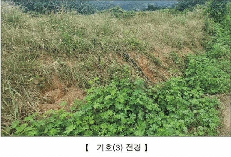 2025타경15806 충청남도 서천군 비인면 칠지리 산49 임야 경매 이미지