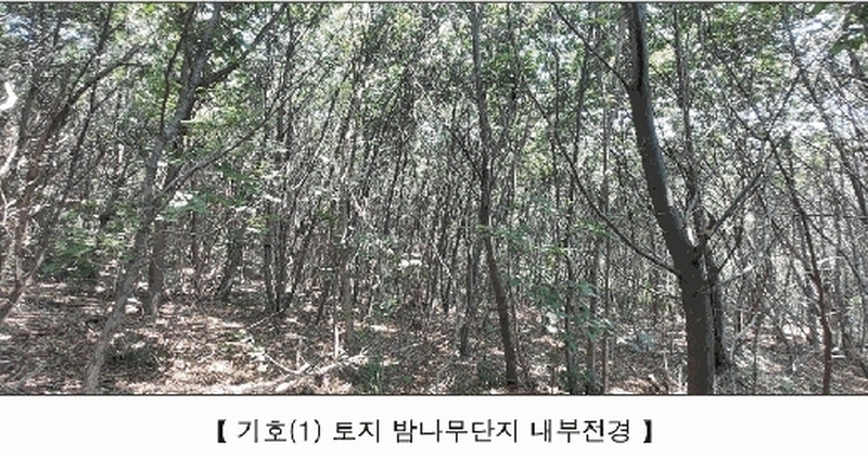 2025타경15806 충청남도 서천군 비인면 칠지리 산49 임야 경매 이미지