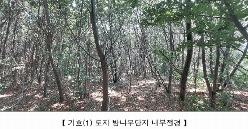 2025타경15806 충청남도 서천군 비인면 칠지리 산49 임야 경매 이미지
