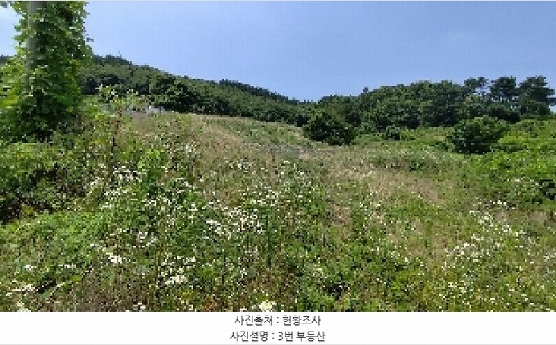 2025타경15806 충청남도 서천군 비인면 칠지리 산49 임야 경매 이미지