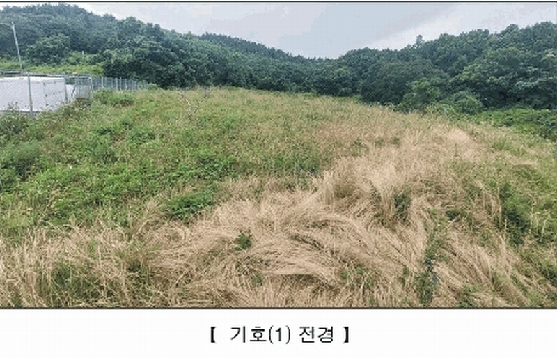 2025타경15806 충청남도 서천군 비인면 칠지리 산49 임야 경매 이미지