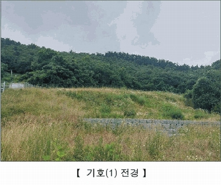 2025타경15806 충청남도 서천군 비인면 칠지리 산49 임야 경매 이미지