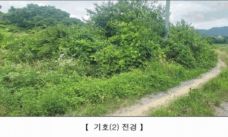 2025타경15806 충청남도 서천군 비인면 칠지리 산49 임야 경매 이미지
