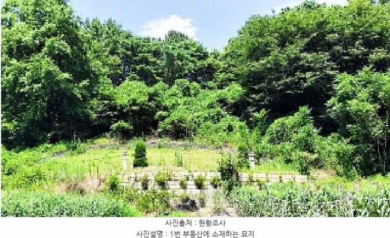 2025타경15842 충청남도 서천군 판교면 흥림리 609 농지 경매 이미지