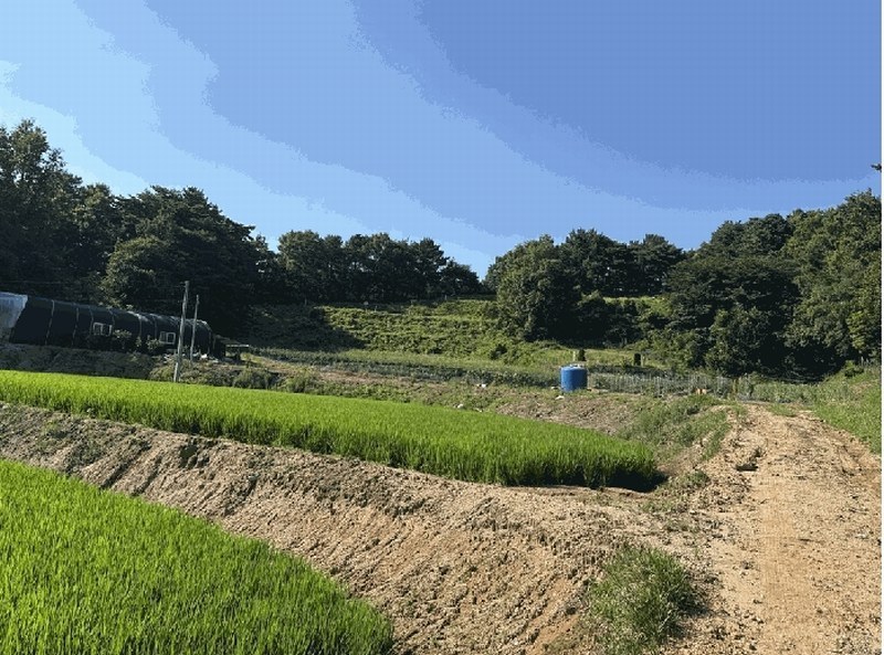 2025타경15842 충청남도 서천군 판교면 흥림리 609 농지 경매 이미지