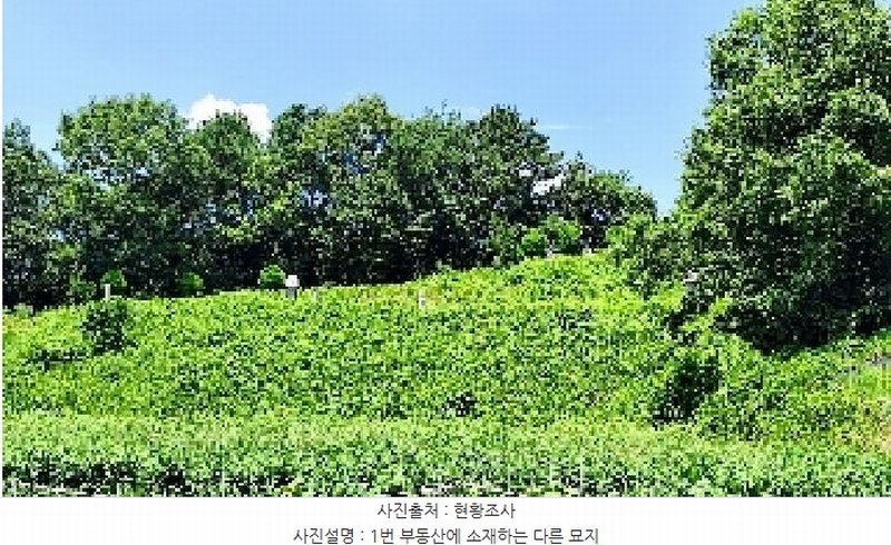 2025타경15842 충청남도 서천군 판교면 흥림리 609 농지 경매 이미지