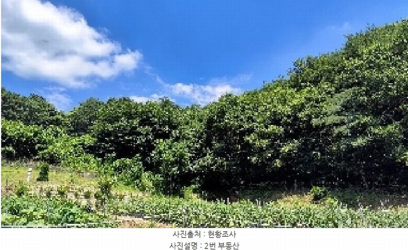 2025타경15842 충청남도 서천군 판교면 흥림리 609 농지 경매 이미지