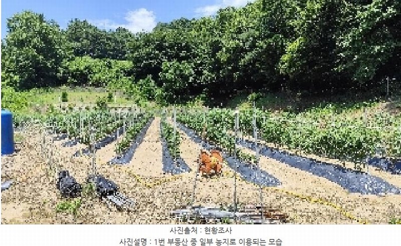 2025타경15842 충청남도 서천군 판교면 흥림리 609 농지 경매 이미지