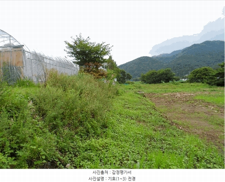 2025타경15847 충청남도 예산군 덕산면 옥계리 528-3 농지 경매 이미지
