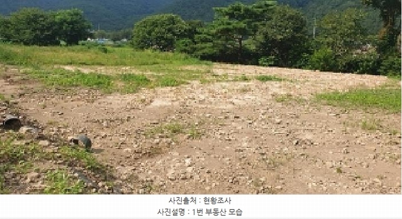 2025타경15847 충청남도 예산군 덕산면 옥계리 528-3 농지 경매 이미지