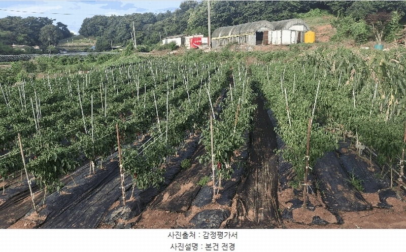 2025타경15859 충청남도 홍성군 은하면 덕실리 165 농지 경매 이미지
