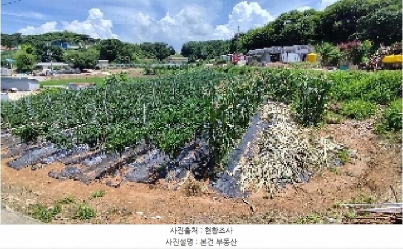 2025타경15859 충청남도 홍성군 은하면 덕실리 165 농지 경매 이미지