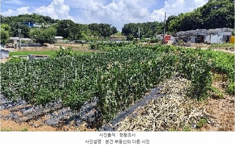 2025타경15859 충청남도 홍성군 은하면 덕실리 165 농지 경매 이미지