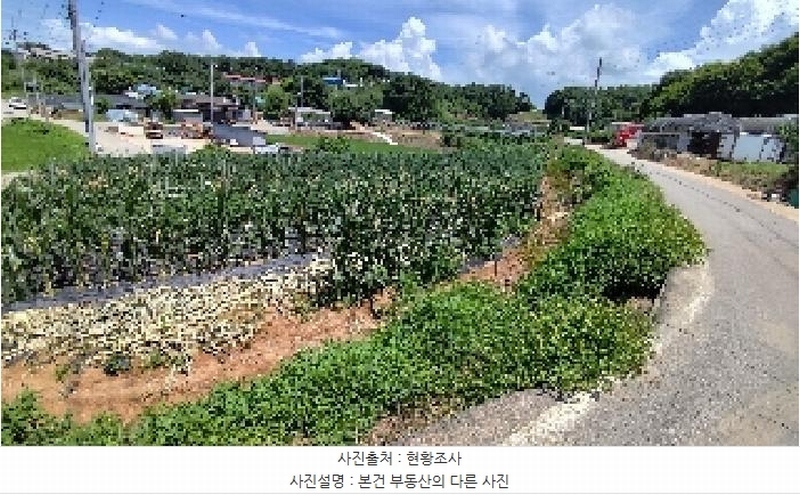 2025타경15859 충청남도 홍성군 은하면 덕실리 165 농지 경매 이미지