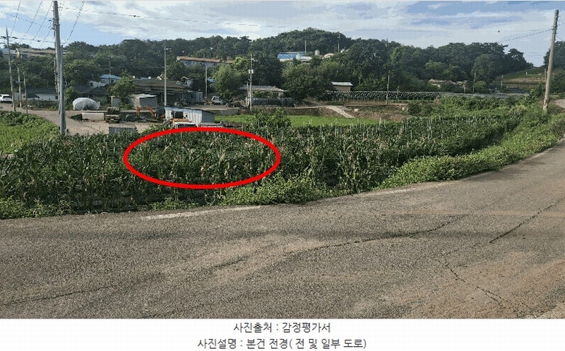 2025타경15859 충청남도 홍성군 은하면 덕실리 165 농지 경매 이미지