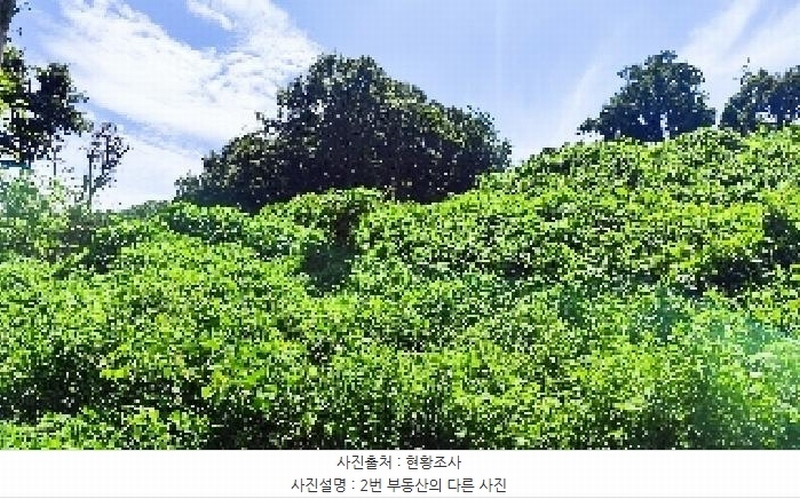2025타경15886 충청남도 홍성군 구항면 지정리 496-70 임야 경매 이미지