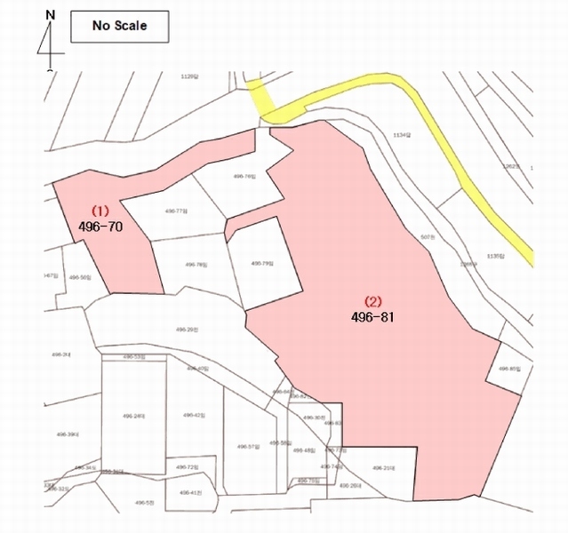 2025타경15886 충청남도 홍성군 구항면 지정리 496-70 임야 경매 이미지