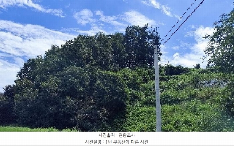 2025타경15886 충청남도 홍성군 구항면 지정리 496-70 임야 경매 이미지
