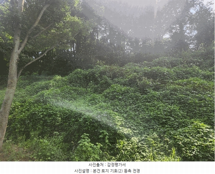 2025타경15886 충청남도 홍성군 구항면 지정리 496-70 임야 경매 이미지