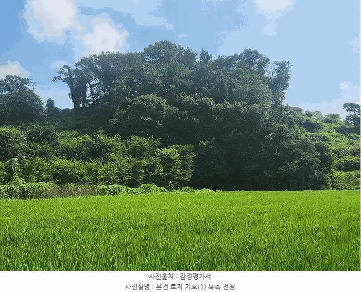 2025타경15886 충청남도 홍성군 구항면 지정리 496-70 임야 경매 이미지
