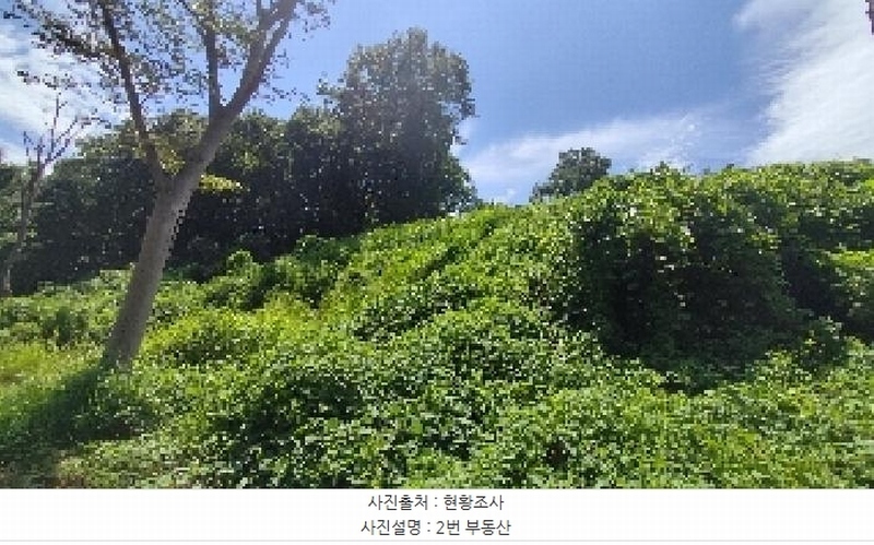 2025타경15886 충청남도 홍성군 구항면 지정리 496-70 임야 경매 이미지