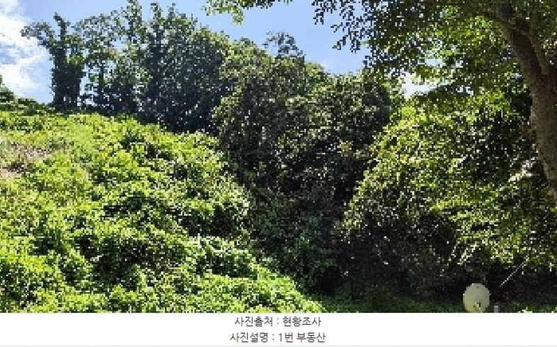 2025타경15886 충청남도 홍성군 구항면 지정리 496-70 임야 경매 이미지
