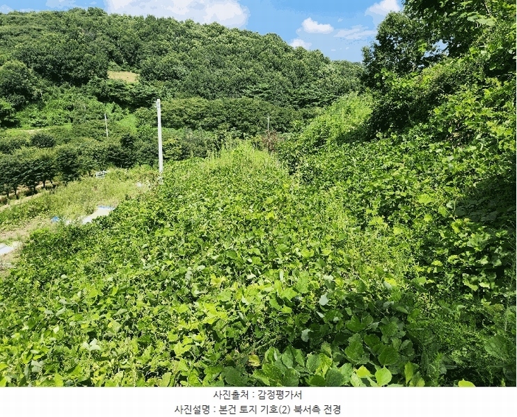 2025타경15886 충청남도 홍성군 구항면 지정리 496-70 임야 경매 이미지