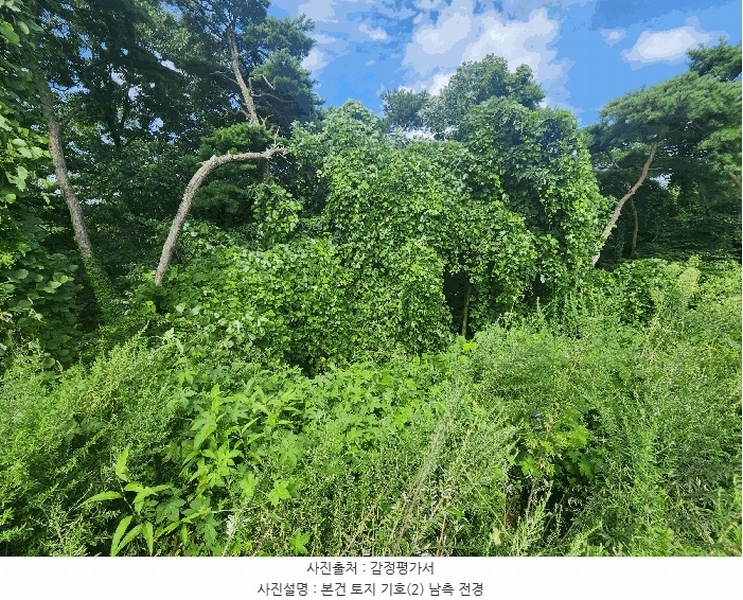 2025타경15886 충청남도 홍성군 구항면 지정리 496-70 임야 경매 이미지