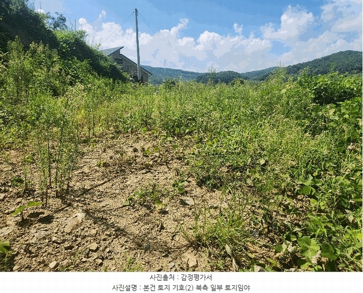 2025타경15886 충청남도 홍성군 구항면 지정리 496-70 임야 경매 이미지