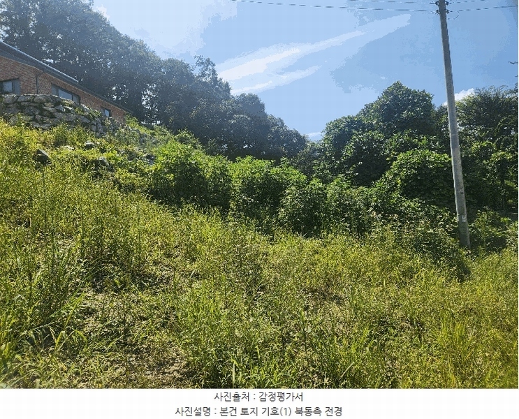 2025타경15886 충청남도 홍성군 구항면 지정리 496-70 임야 경매 이미지