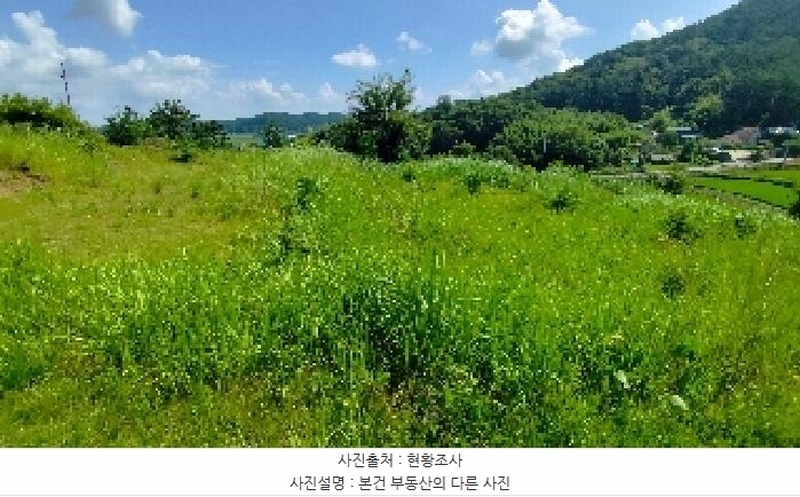 2025타경15918 충청남도 서천군 한산면 동산리 산26-3 임야 경매 이미지