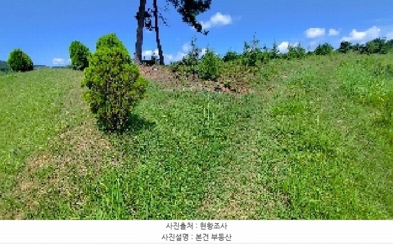 2025타경15918 충청남도 서천군 한산면 동산리 산26-3 임야 경매 이미지