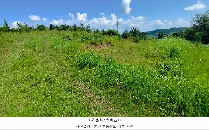 2025타경15918 충청남도 서천군 한산면 동산리 산26-3 임야 경매 이미지