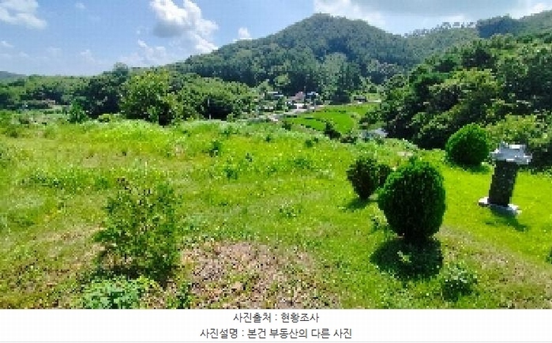 2025타경15918 충청남도 서천군 한산면 동산리 산26-3 임야 경매 이미지