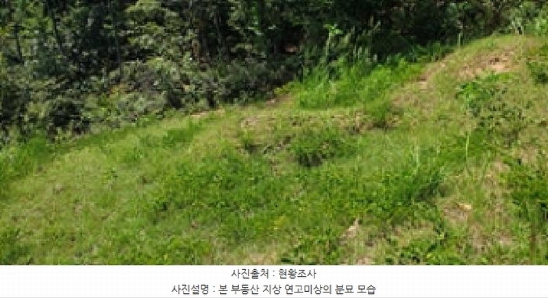2025타경15925 충청남도 예산군 신양면 귀곡리 산44 임야 경매 이미지