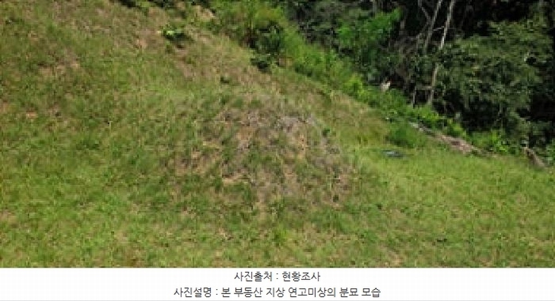 2025타경15925 충청남도 예산군 신양면 귀곡리 산44 임야 경매 이미지