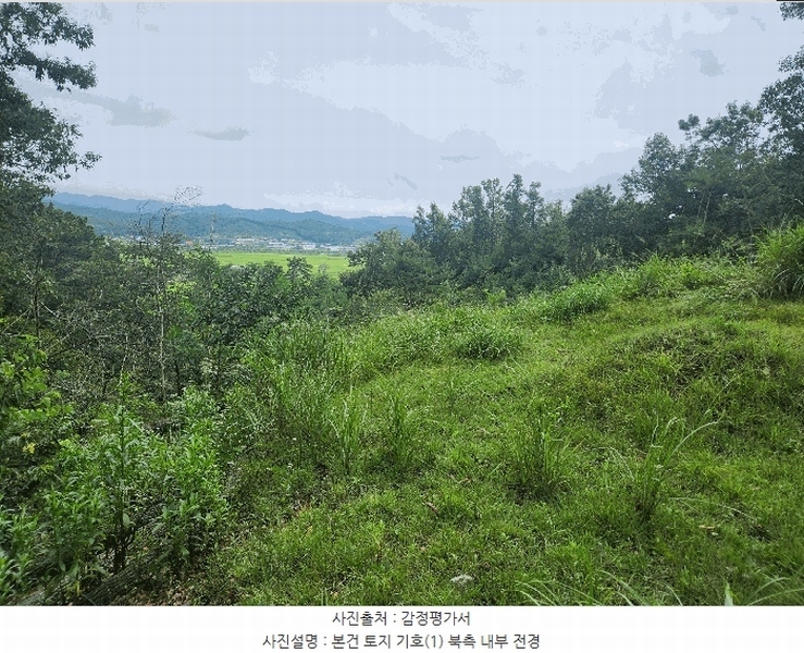 2025타경15925 충청남도 예산군 신양면 귀곡리 산44 임야 경매 이미지