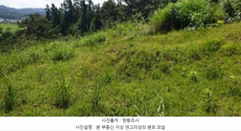 2025타경15925 충청남도 예산군 신양면 귀곡리 산44 임야 경매 이미지