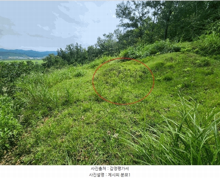 2025타경15925 충청남도 예산군 신양면 귀곡리 산44 임야 경매 이미지