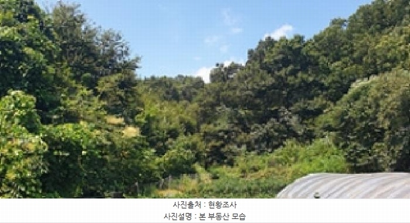 2025타경15925 충청남도 예산군 신양면 귀곡리 산44 임야 경매 이미지