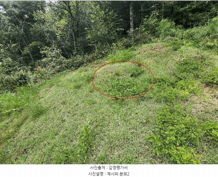 2025타경15925 충청남도 예산군 신양면 귀곡리 산44 임야 경매 이미지
