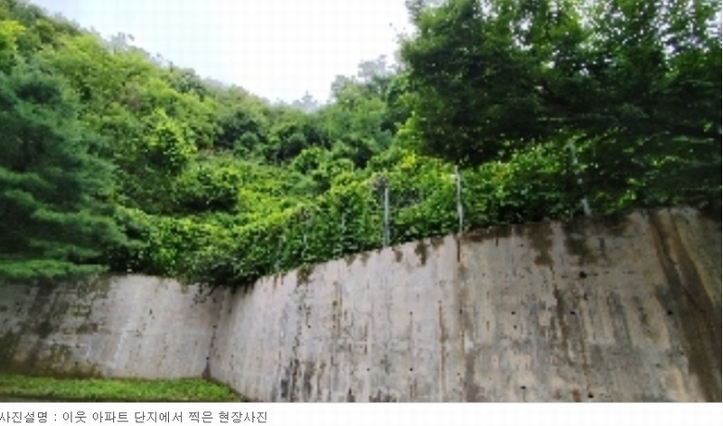 2024타경18829 충청남도 홍성군 구항면 공리 21-17 과수원 경매 이미지