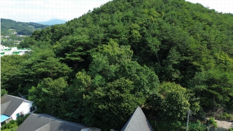 2024타경18829 충청남도 홍성군 구항면 공리 21-17 과수원 경매 이미지