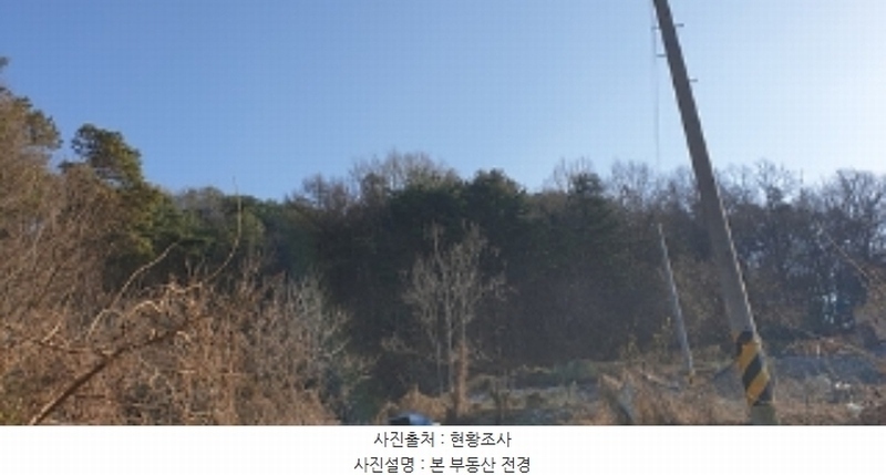 2024타경21870 충청남도 홍성군 장곡면 월계리 산190-1 임야 경매 이미지