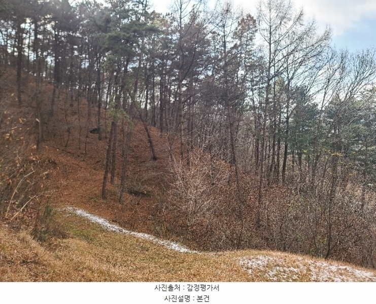 2024타경21870 충청남도 홍성군 장곡면 월계리 산190-1 임야 경매 이미지