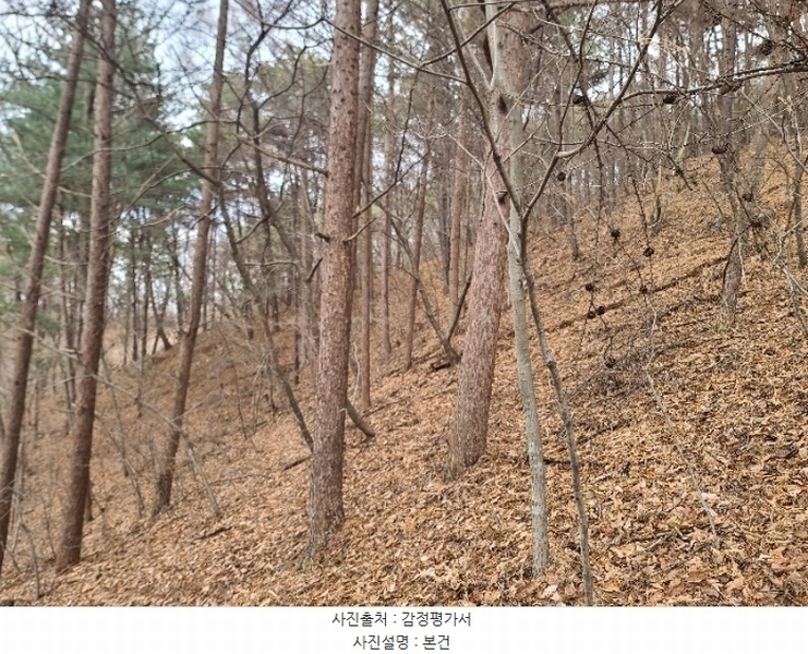 2024타경21870 충청남도 홍성군 장곡면 월계리 산190-1 임야 경매 이미지
