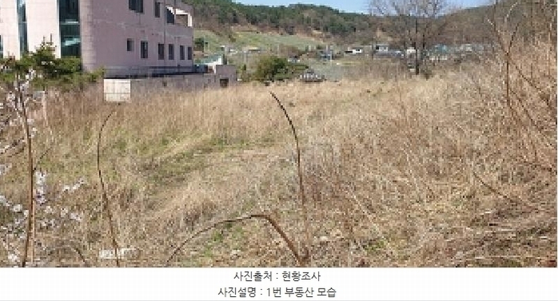 2025타경863 충청남도 예산군 예산읍 산성리 86-1 임야 경매 이미지