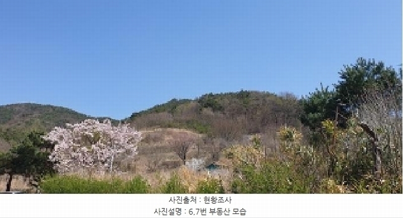 2025타경863 충청남도 예산군 예산읍 산성리 86-1 임야 경매 이미지